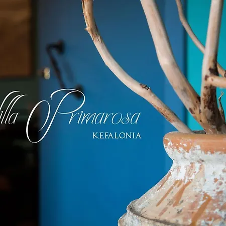 Primarosa * Metaxáta