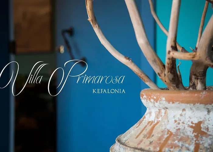 Primarosa * Metaxata