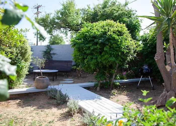 Primarosa * Metaxata