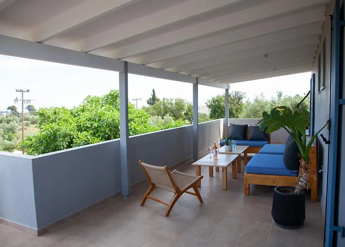 Primarosa * Metaxata